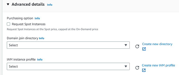 IAM instance profile