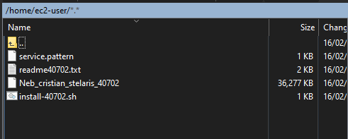 Uploaded files