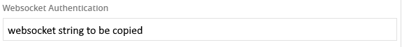 Websocket auth